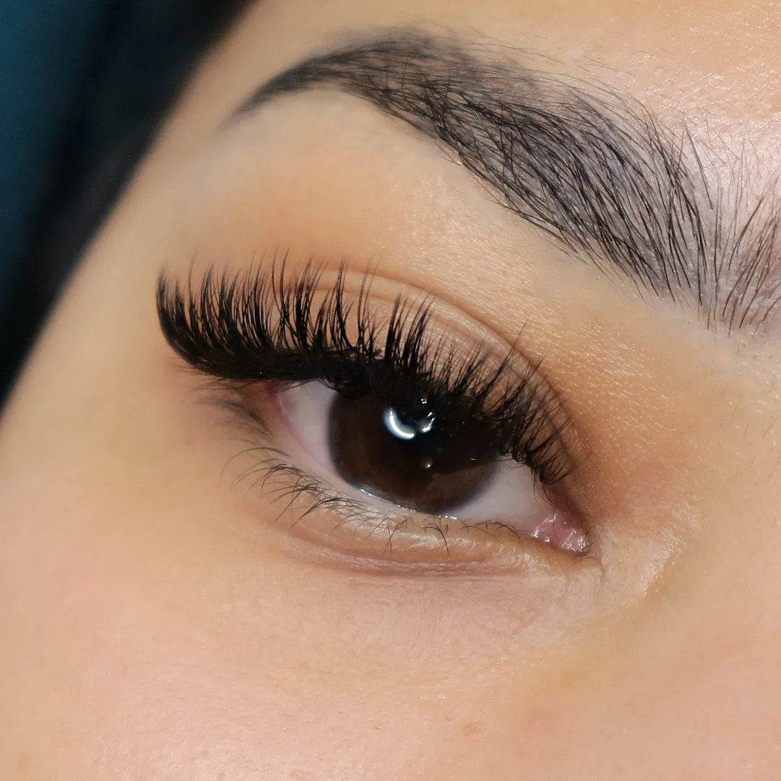 Wispy hybrid lash set on a brown eye